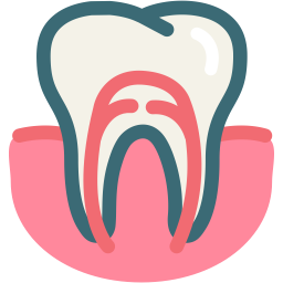 Dental_-_Tooth_-_Dentist_-_Dentistry_16-512.png